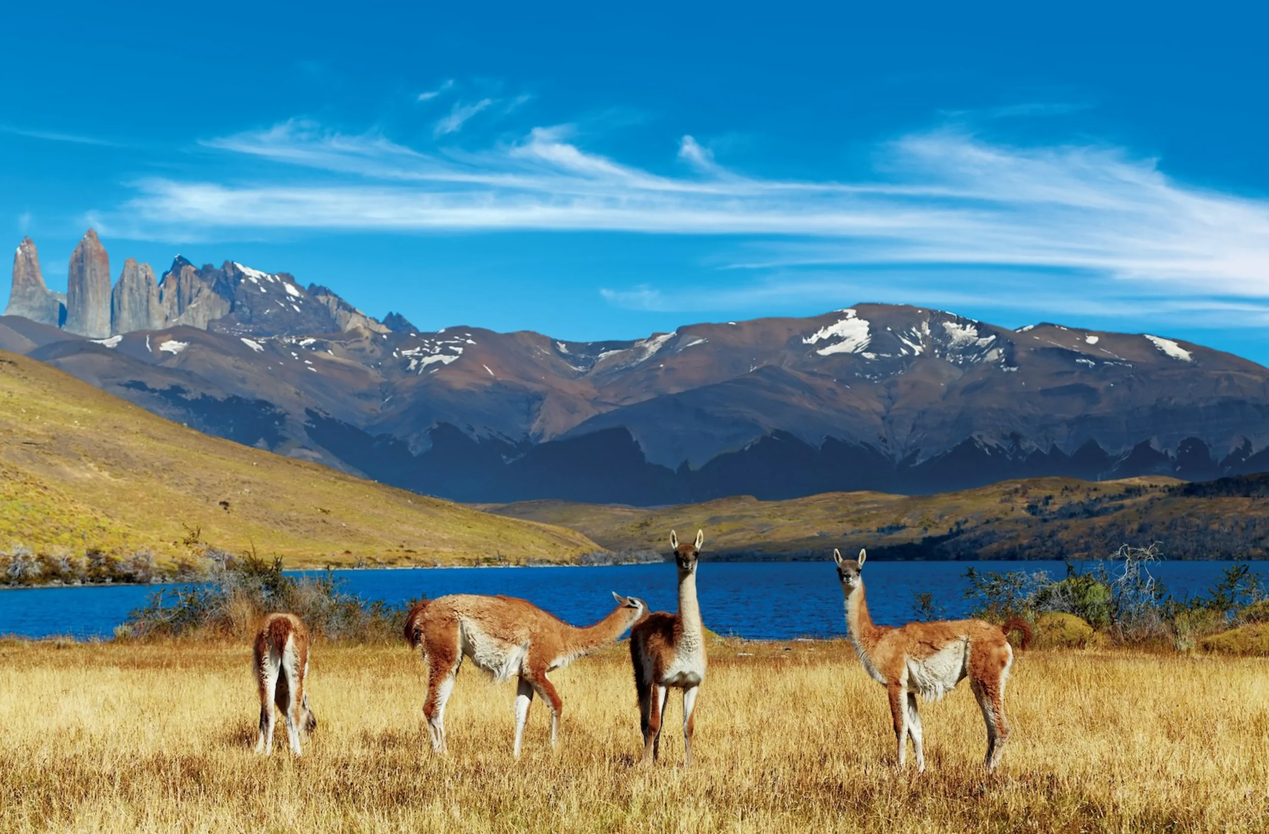  Escursione al Parco Torres del Paine