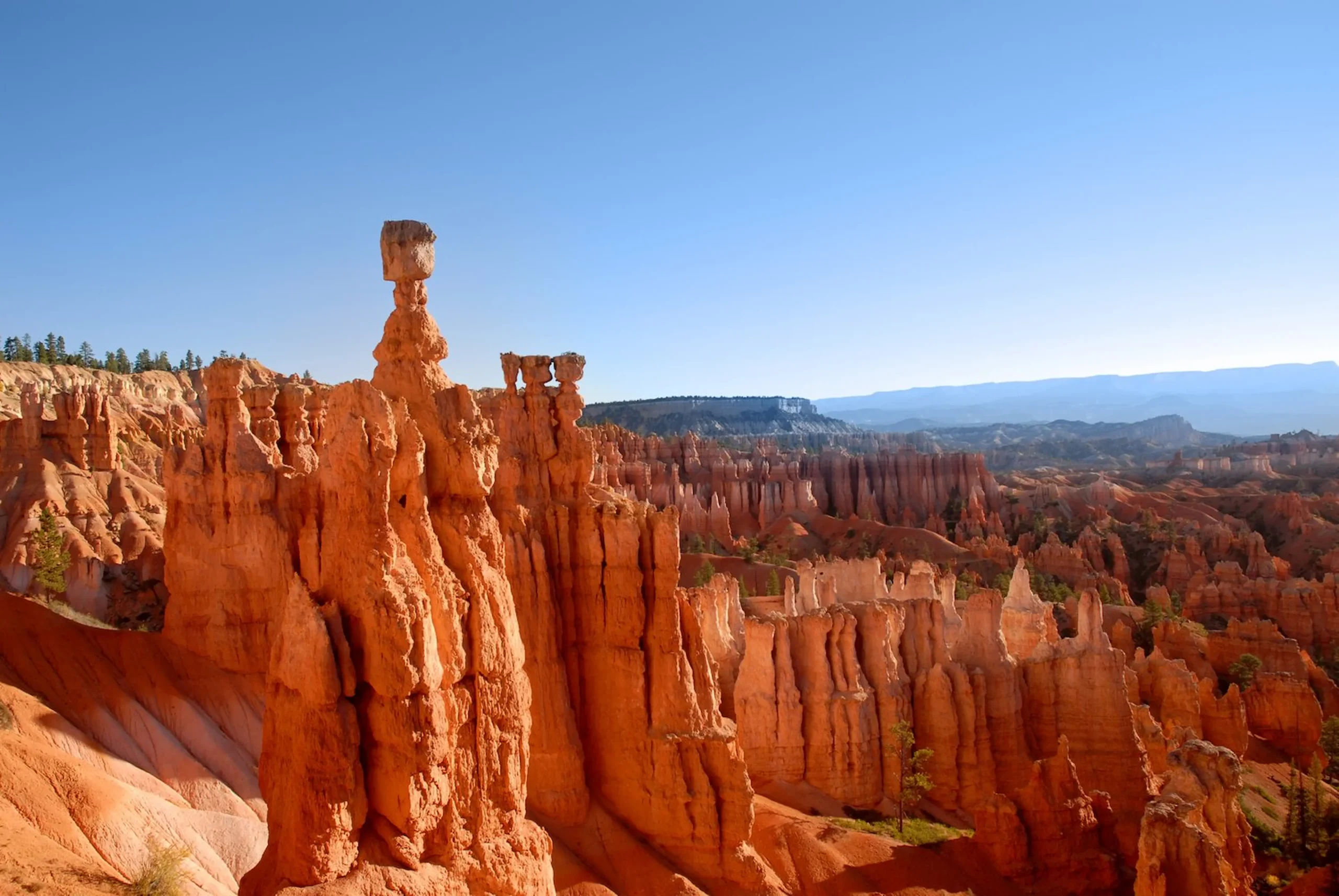 Grand Canyon, Bryce canyon e Zion
