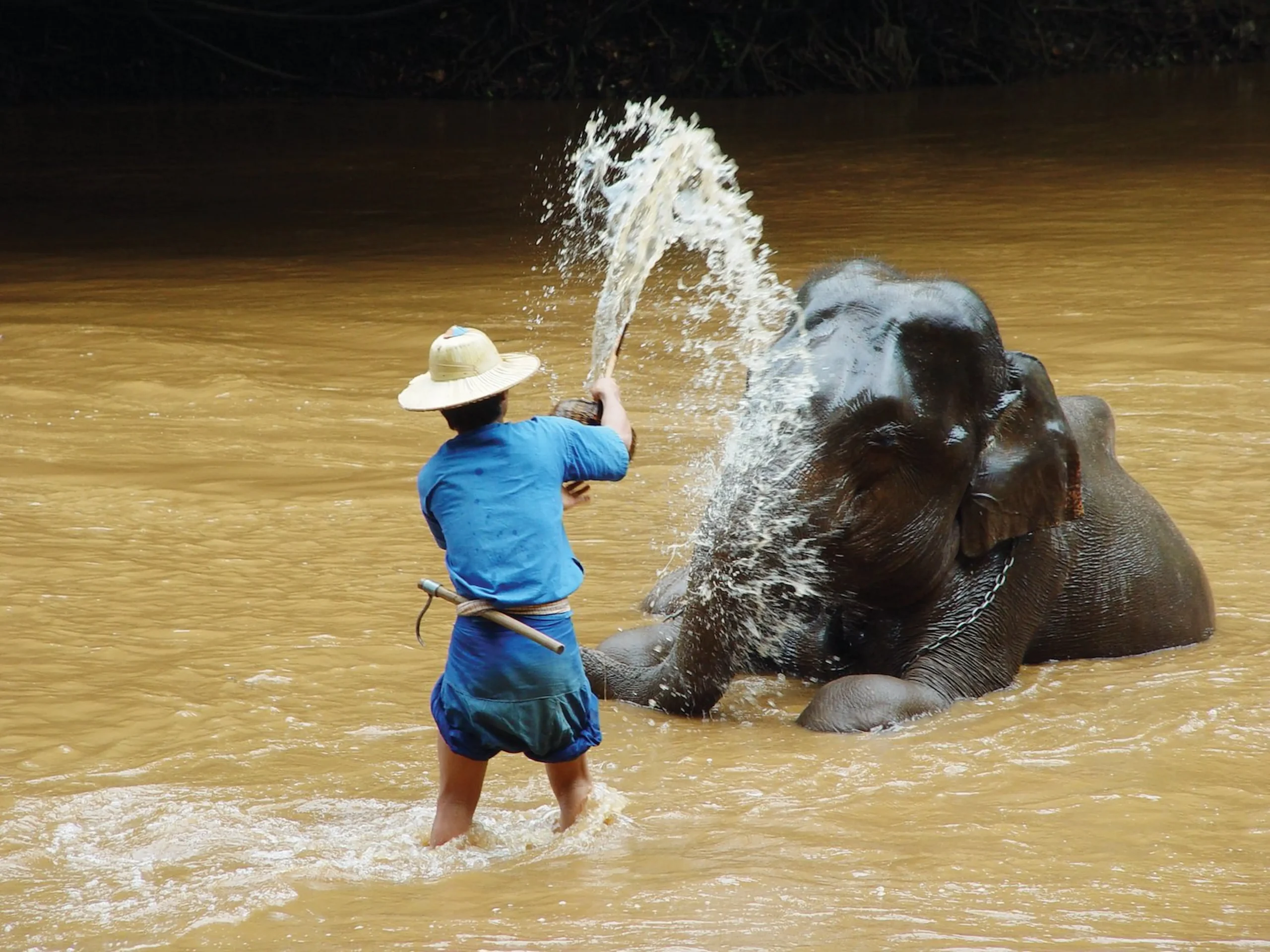 Il Santuario degli Elefanti
