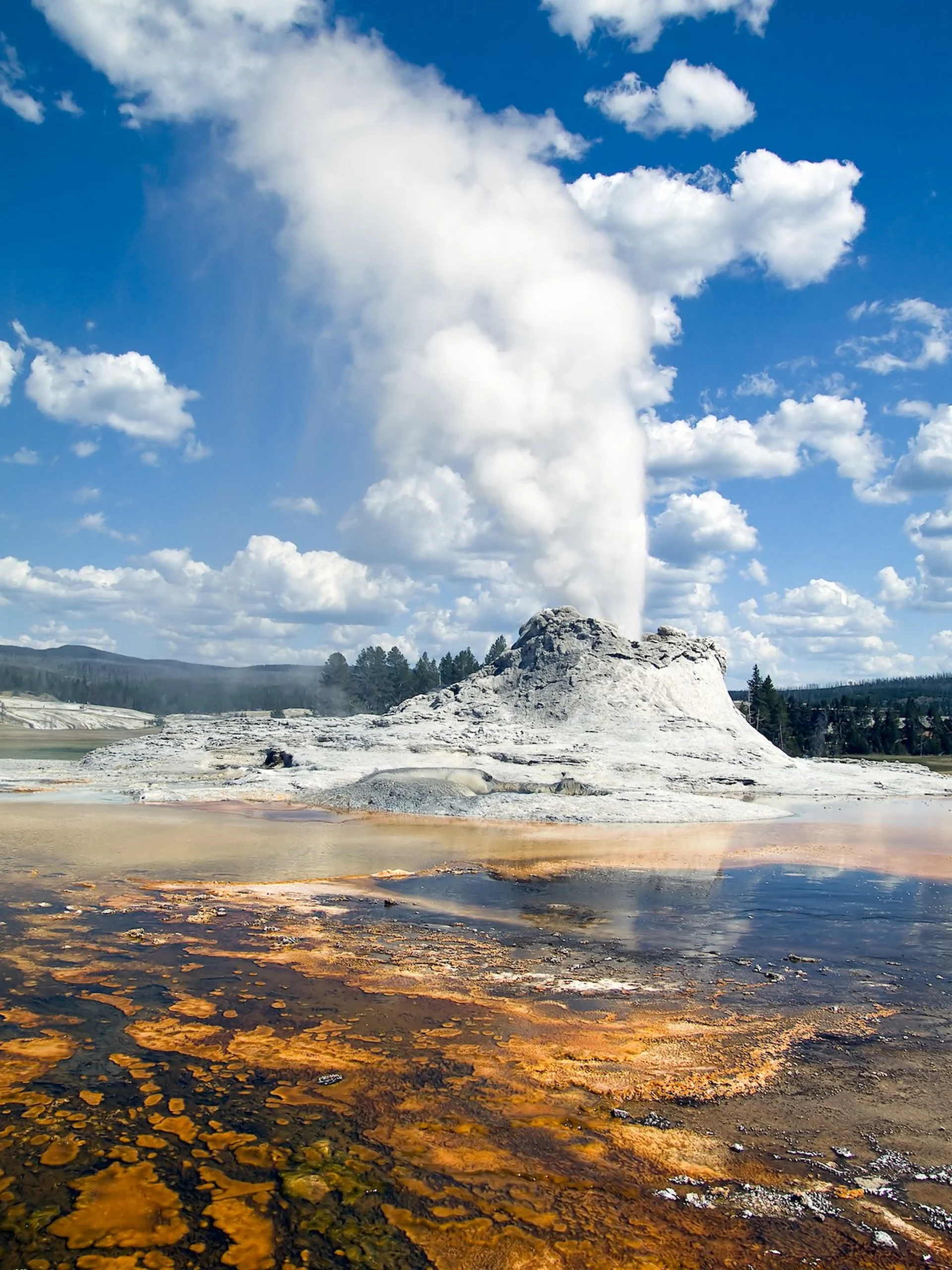 I geyser dello Yellowstone National Park 