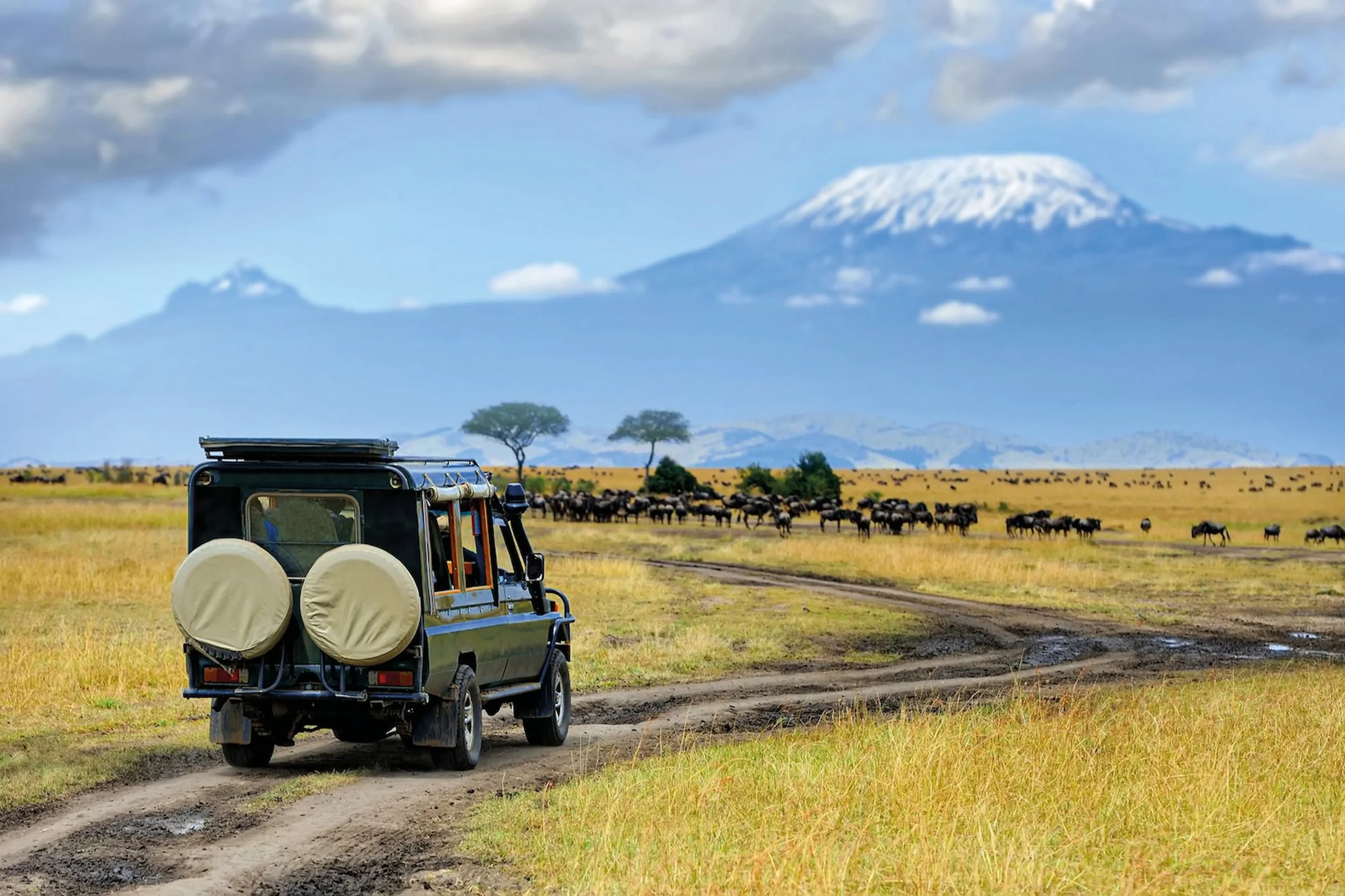 Safari nel Serengeti 