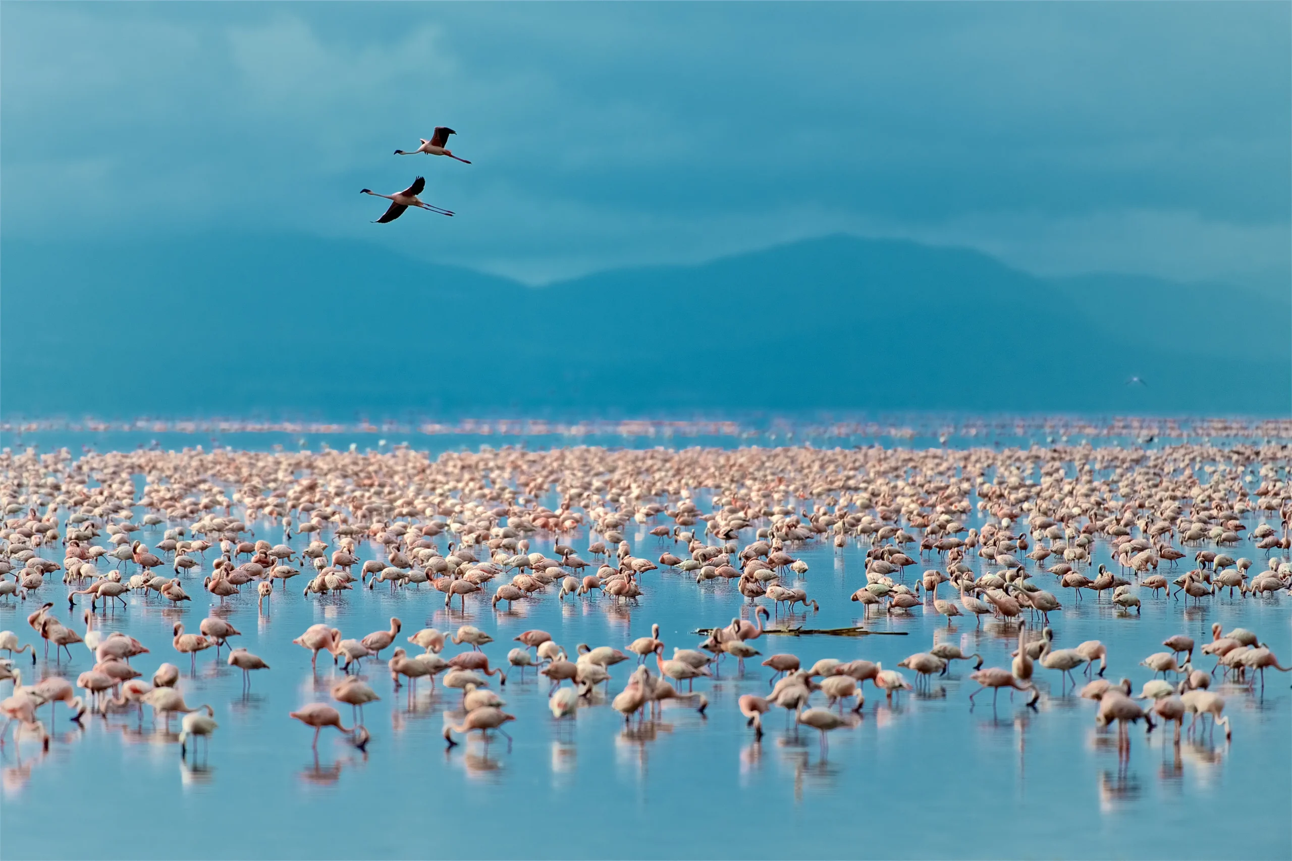 Il Lago Manyara