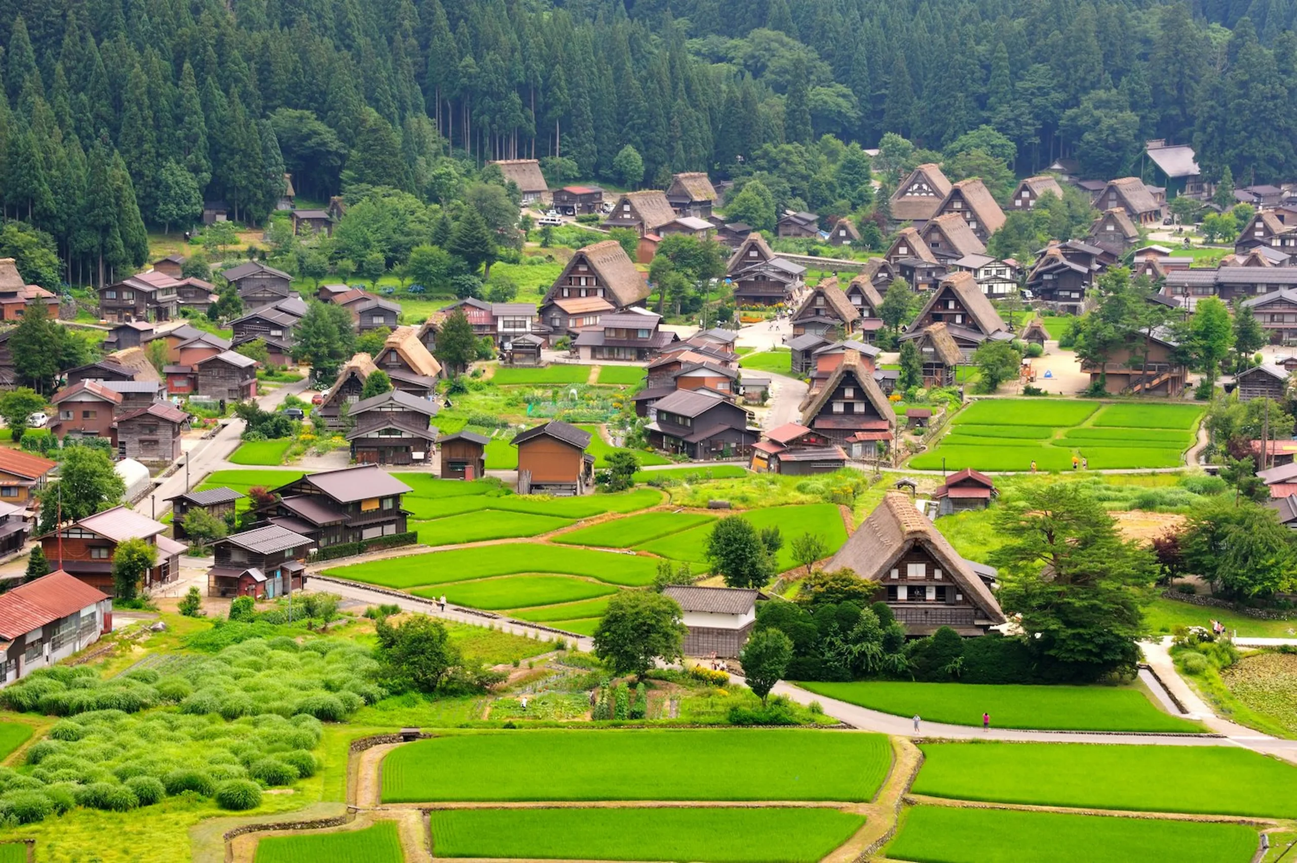 Dalle metropoli moderne ai villaggi di Shirakawago e Narai Juku