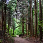 shutterstock_1471628330