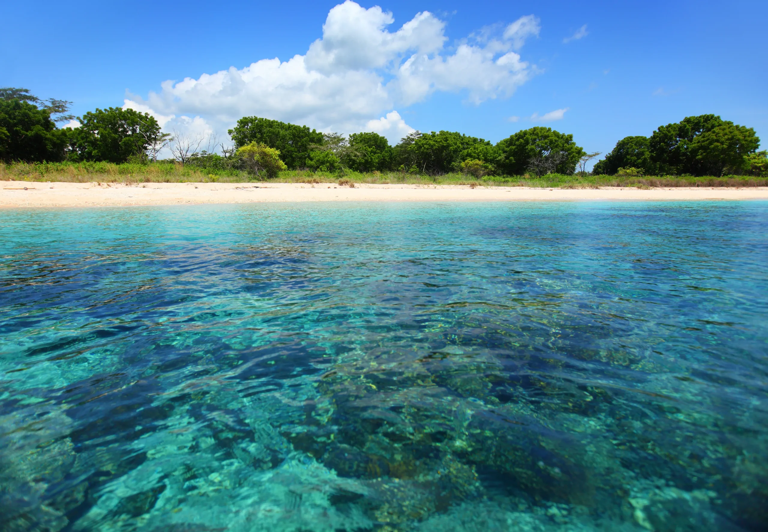 La natura incontaminata del Bali Barat